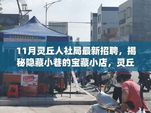 揭秘灵丘人社局最新招聘背后的故事,带你探索宝藏小店与十一月独特风情