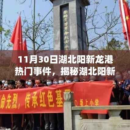 湖北阳新龙港热门事件揭秘,探寻真相,洞悉前沿动态