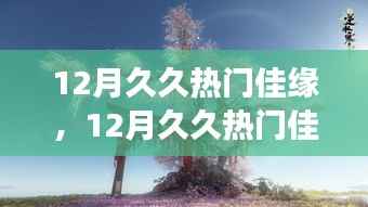 12月久久热门佳缘,与自然美景的浪漫邂逅,踏寻内心平和之旅