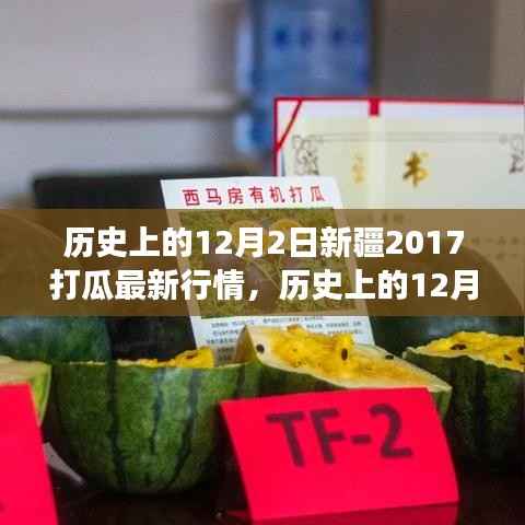 历史上的12月2日，新疆瓜田励志故事与打瓜行情的魅力展现
