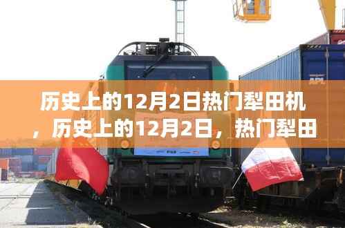 走马观花 第15页