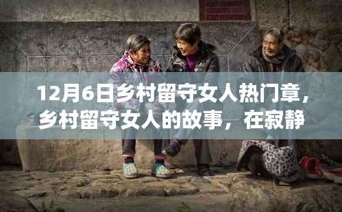 乡村留守女人的温暖与坚韧,寂静冬日的热门故事章节(12月6日)