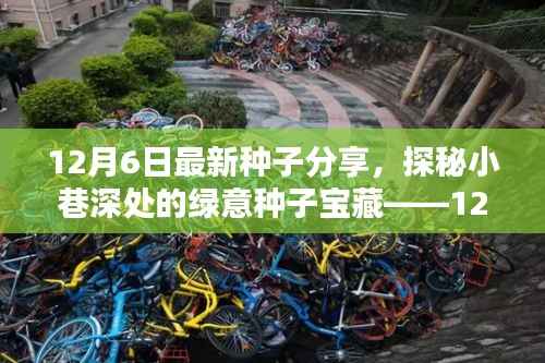 独家报道,探秘小巷深处的绿意种子宝藏——最新种子分享会揭秘十二月的种子宝藏