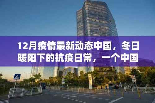 中国抗疫日常,冬日暖阳下的温馨故事,疫情最新动态更新