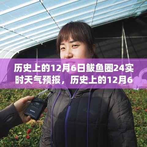 历史上的12月6日鲅鱼圈,天气预报与自然美景探寻之旅,追寻内心宁静与平和