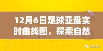 fuguibirenlai 第13页