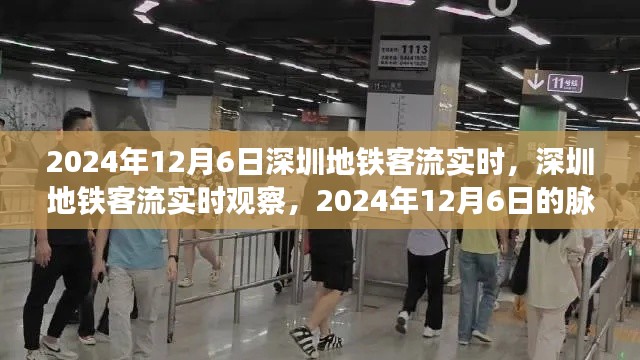 2024年12月6日深圳地铁客流实时观察,脉动与影响