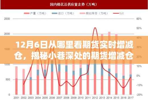 揭秘期货实时增减仓情报站,12月6日观察之旅,洞悉期货动态变化