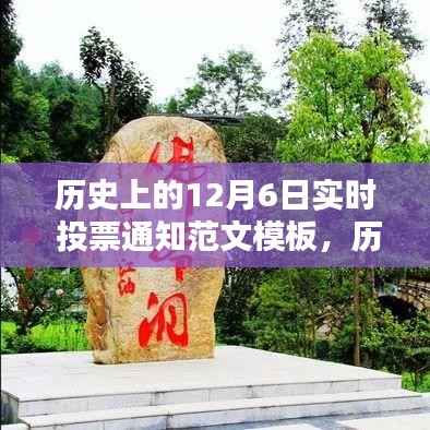历史上的12月6日实时投票通知,操作指南与重要性解析