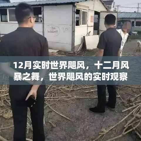实时观察与深度剖析,世界飓风在十二月的风暴之舞