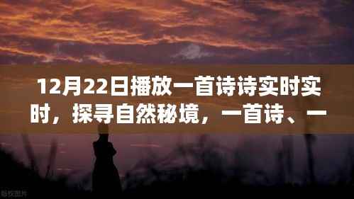 12月22日启程,诗意探寻自然秘境的宁静之旅