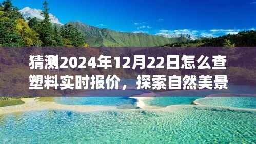 未来塑料实时报价探索之旅,心灵宁静与自然美景的双重追寻