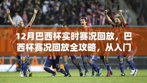巴西杯赛况回放全攻略,从入门到精通的观看指南,12月实时赛况回顾