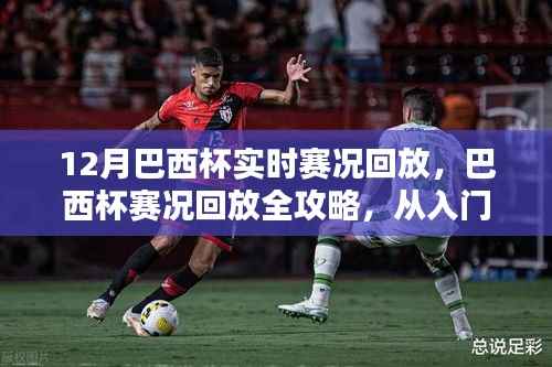 巴西杯赛况回放全攻略,从入门到精通的观看指南,12月实时赛况回顾