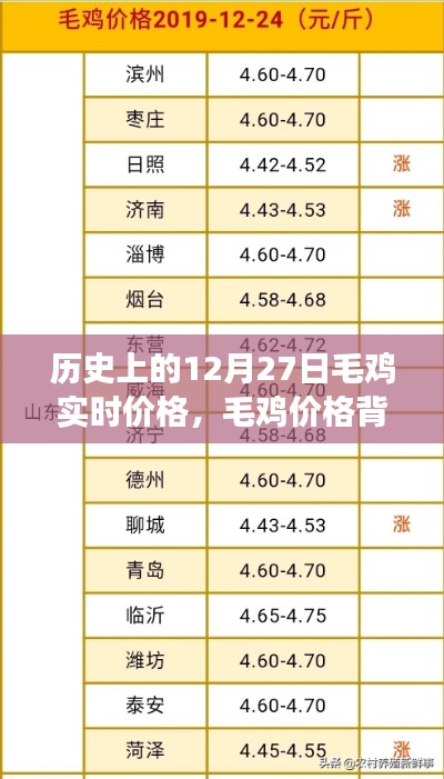 毛鸡价格背后的暖心故事,友情与陪伴的温馨旅程在历史上的今天——毛鸡实时价格记录与故事分享