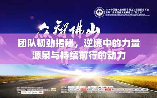 团队韧劲揭秘，逆境中的力量源泉与持续前行的动力