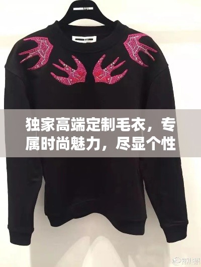 独家高端定制毛衣,专属时尚魅力,尽显个性风采