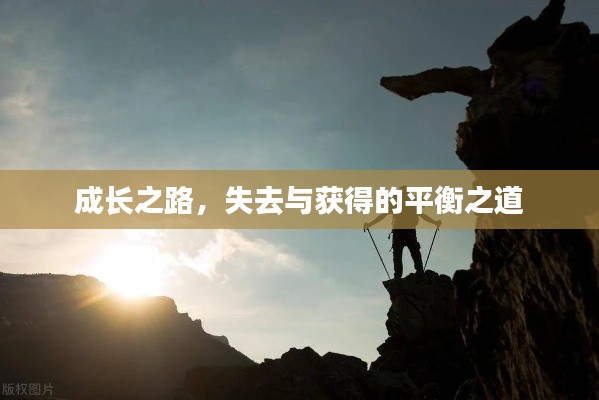 成长之路,失去与获得的平衡之道