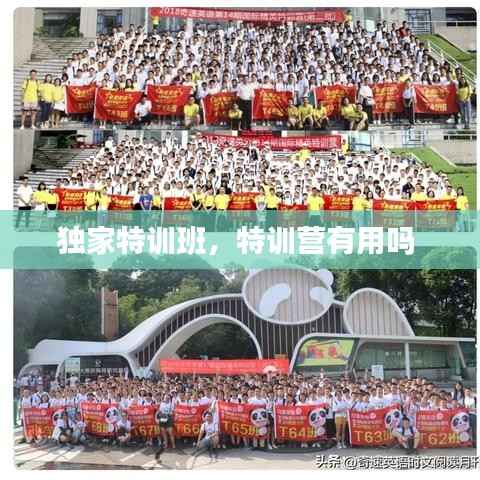 zhengzhongqishi 第11页