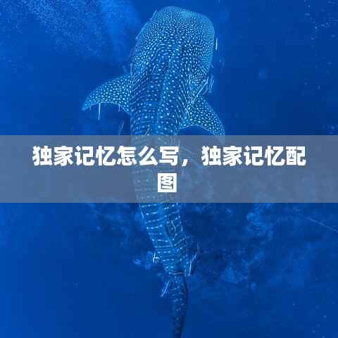 独家记忆怎么写,独家记忆配图