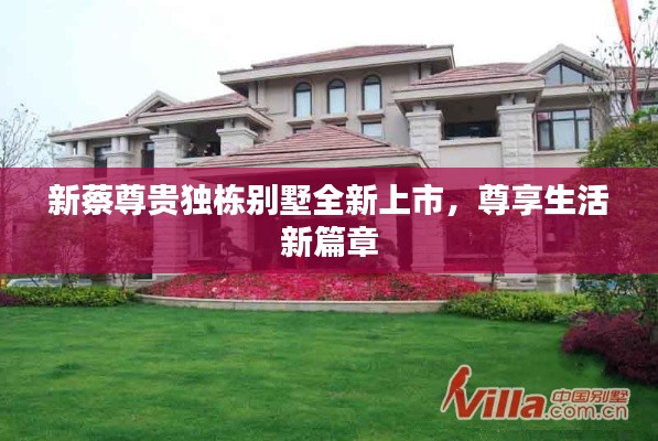 新蔡尊贵独栋别墅全新上市,尊享生活新篇章