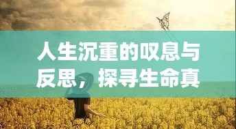 人生沉重的叹息与反思,探寻生命真谛