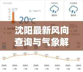 沈阳最新风向查询与气象解读，今日气象信息全解析