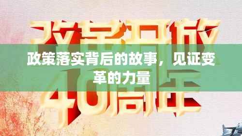 政策落实背后的故事,见证变革的力量
