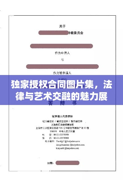 独家授权合同图片集,法律与艺术交融的魅力展现