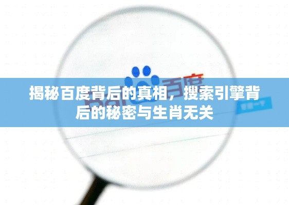 揭秘百度背后的真相,搜索引擎背后的秘密与生肖无关