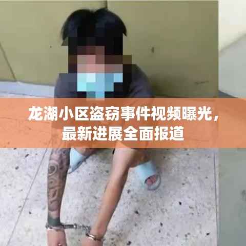 龙湖小区盗窃事件视频曝光,最新进展全面报道
