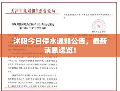 niaolibieguan 第9页