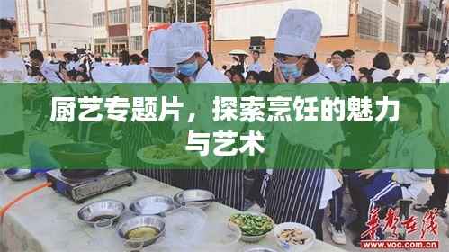 厨艺专题片,探索烹饪的魅力与艺术