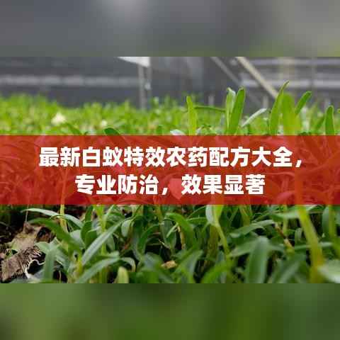 最新白蚁特效农药配方大全,专业防治,效果显著
