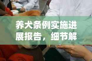 养犬条例实施进展报告,细节解读与成效分析