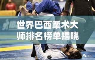 世界巴西柔术大师排名榜单揭晓!