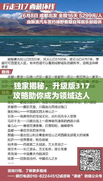独家揭秘,升级版317攻略助你成为领域达人!