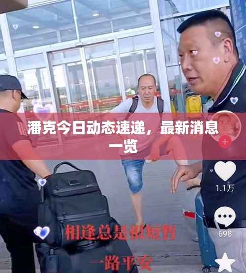 潘克今日动态速递,最新消息一览