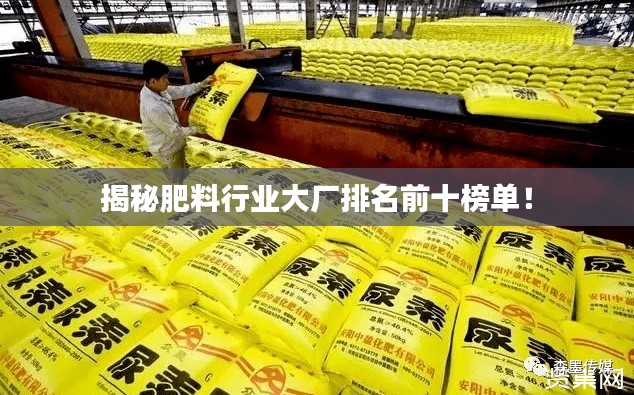 揭秘肥料行业大厂排名前十榜单!