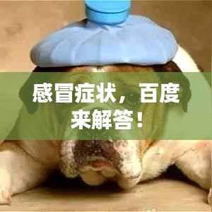 感冒症状,百度来解答!