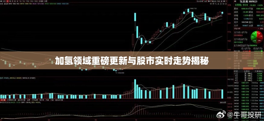 加氢领域重磅更新与股市实时走势揭秘