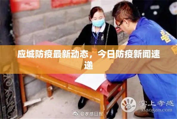 应城防疫最新动态,今日防疫新闻速递