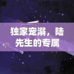 独家宠溺，陆先生的专属温柔