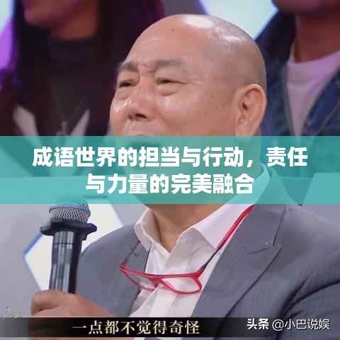 成语世界的担当与行动,责任与力量的完美融合