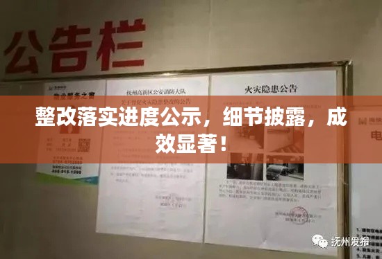 整改落实进度公示,细节披露,成效显著!