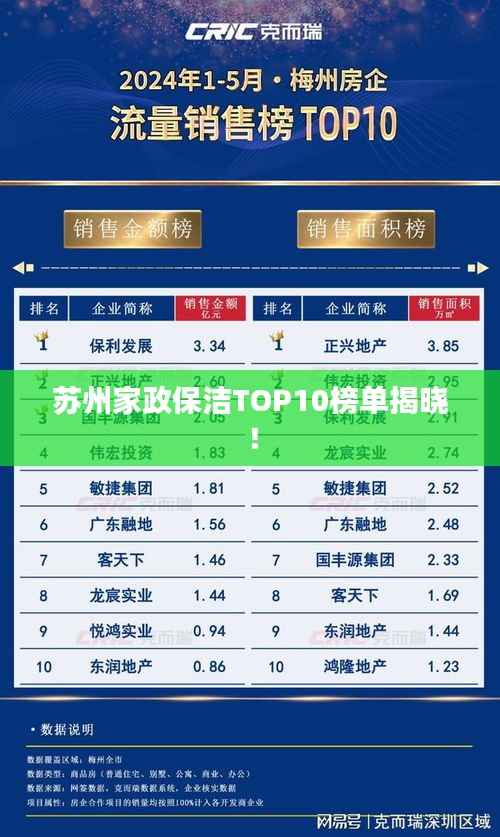 苏州家政保洁TOP10榜单揭晓!