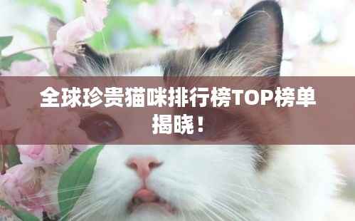 全球珍贵猫咪排行榜TOP榜单揭晓!