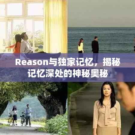 Reason与独家记忆,揭秘记忆深处的神秘奥秘
