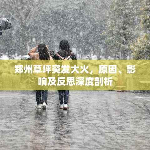 郑州草坪突发大火,原因、影响及反思深度剖析