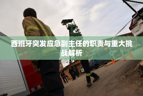 西班牙突发应急副主任的职责与重大挑战解析